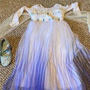Trish Scully Child Frozen Costume (dress & shoes)
